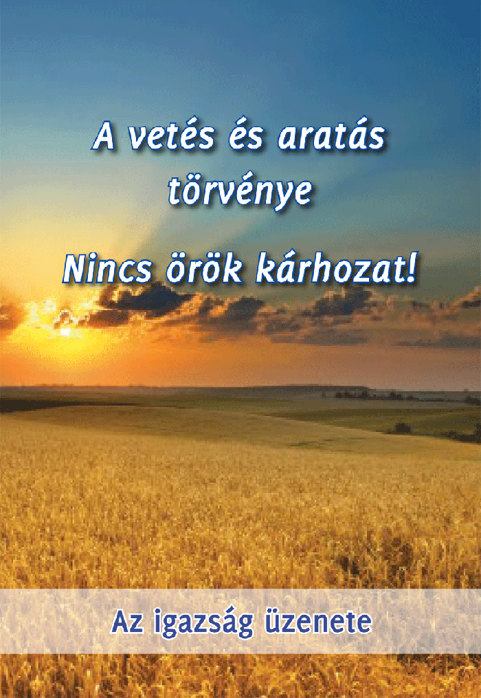 vetés és aratás törvénye